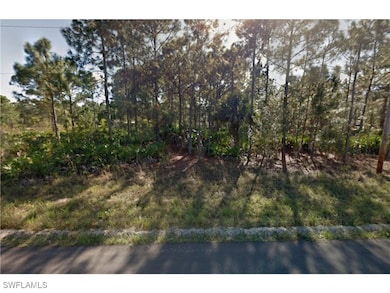 View of local wilderness