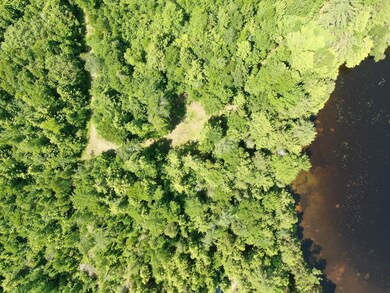 21 Spruce Point Rd, Lowell, ME 04493 - photo 6