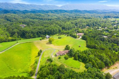 1015 Campbell Way - 8