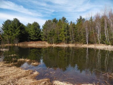 N9398 Hoffman Rd unit 80 Acres, Tomahawk, WI 54487 - photo 3