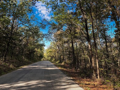 Tract 3 Everest Rd, Ruth A Township, MO 65656 - photo 7