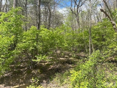 9205 Whetstone Rd, Evansville, IN 47725 - photo 4