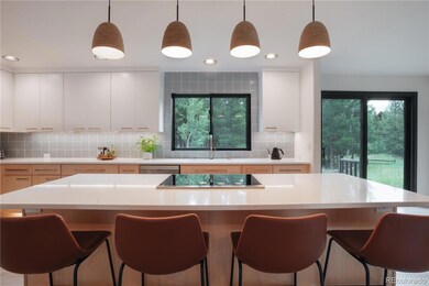 1709 Red Hawk Rd, Silverthorne, CO 80498 - photo 7