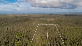 0 Road 2 (Ao) unit 725884, Mountain View, HI 96771 - photo 6