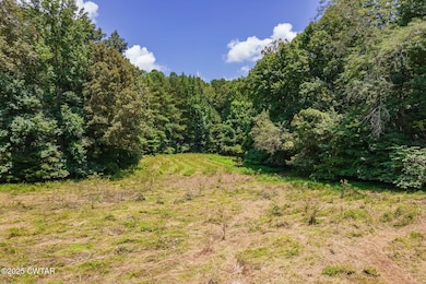 0 Hwy 22 unit 2503448, Dresden, TN 38225 - photo 6