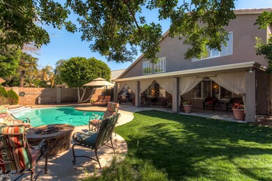 Back Yard 1