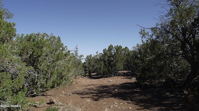 837 E Jackpine Ln unit 47, Williams, AZ 86046 - photo 4