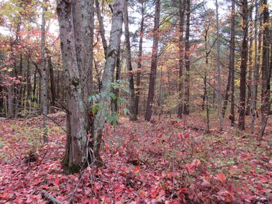 4015 Wilson Beach Rd, Twin Lake, MI 49457 - photo 6