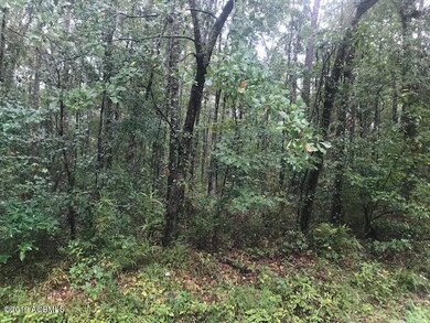 TBD Community Road 3