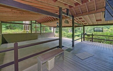 Additional View