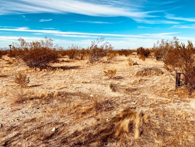 135 135th St E, Pearblossom, CA 93553 - photo 2