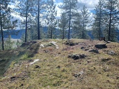 717 Snead Dr, Chewelah, WA 99109 - photo 4