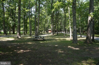 252 Honey Locust Ln, Great Cacapon, WV 25422 - photo 4