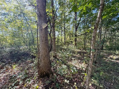 0 Country Rd, Rumley Township, OH 43986 - photo 4