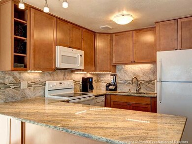 144 Gold Run Cir unit 21, Dillon, CO 80435 - photo 6