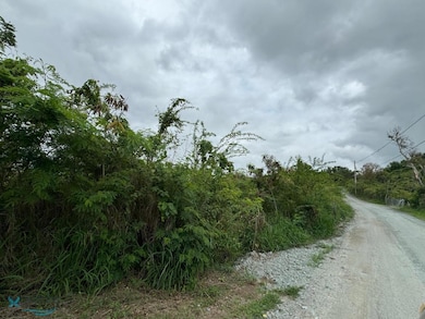 00637 Road Pr #368 Bo MacHuchal Sabana Grande, Sabana Grande, PR 00637 - photo 7