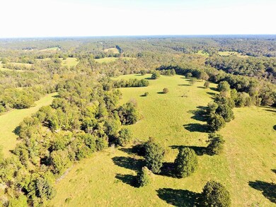 DJI_0282