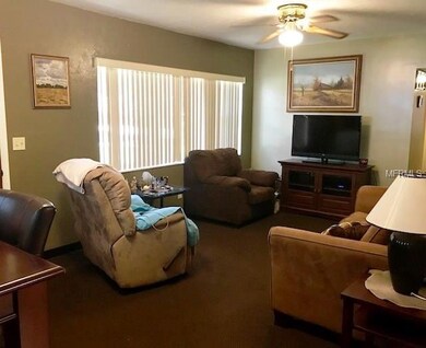 3615 S Grady Ave, Tampa, FL 33629 - photo 5