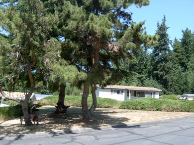 4976 Carlie Dr, Langley, WA 98260 - photo 2