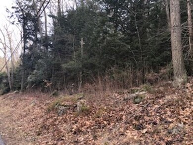 250 Brookfield Rd, Sturbridge, MA 01518 - photo 5