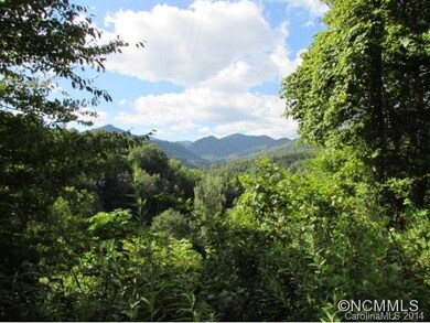 217 Evergreen Rd, Burnsville, NC 28714 - photo 7