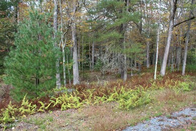 131 Water View Dr, Hawley, PA 18428 - photo 3