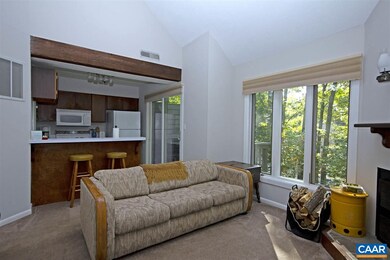 463 3 Ridges, Wintergreen Resort, VA 22967 - photo 3