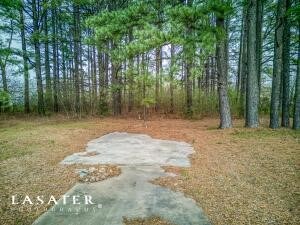 146 Us-167 Bald Knob, Other Ar, AR 72010 - photo 6