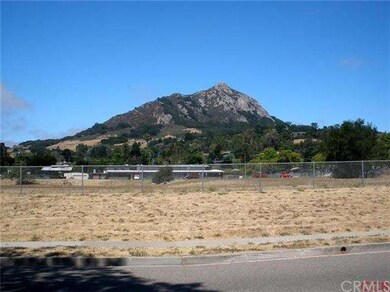 View of Bishop's Peak, just across the street.