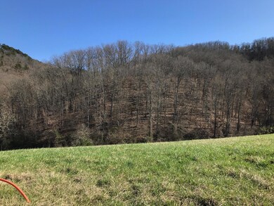 Lot #173 Sunset Bay, Norris Lake
