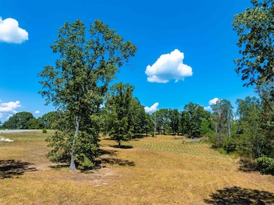 0 unit 25036269, Glencoe, AR 72539 - photo 4