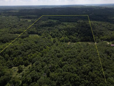 Property Lines 1