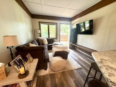 6519 Schuss Mountain Ln unit 3503 & 3504, Mancelona, MI 49659 - photo 6