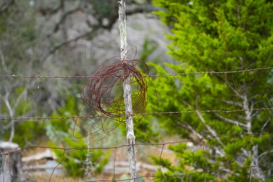 Live Oak Ridge, Bandera, TX 78003 - photo 6