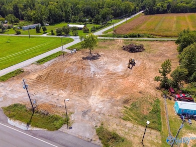 13971 431 U S 231, Hazel Green, AL 35750 - photo 3