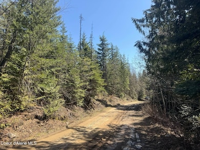 NNA Upper Manley Creek Rd West Lot, Laclede, ID 83841 - photo 2