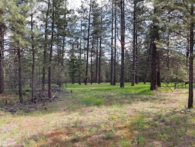 Nkn Us Highway 2, Libby, MT 59923 - photo 5