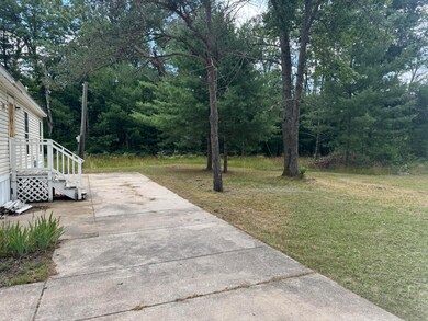 8570 S Bagnall Ave, Baldwin, MI 49304 - photo 3