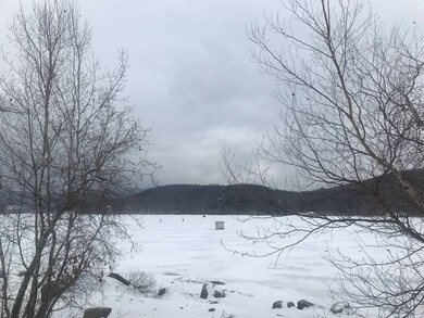 929 Porcupine Ln unit M929, Wilmington, VT 05363 - photo 4