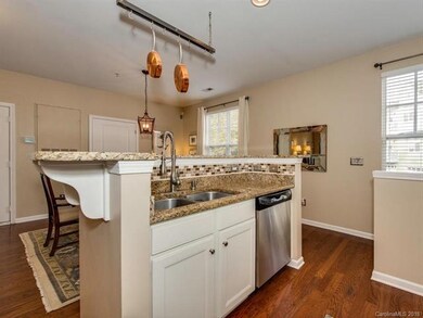 Kitchen Sink, SS Dishwasher and Granite Countertop