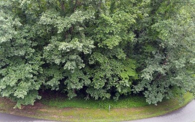 Additional View