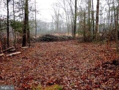 Lot 5 Asketum Branch Rd unit 5, Georgetown, DE 19947 - photo 7