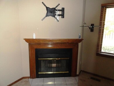Log Woodburning Fireplace