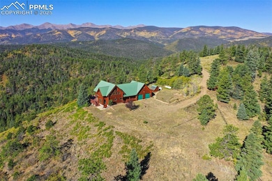 Bird's eye view with a mountain view and a forest view