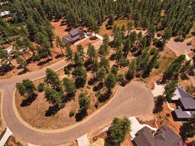 0 Engine Creek Ct unit 769146, Durango, CO 81301 - photo 4