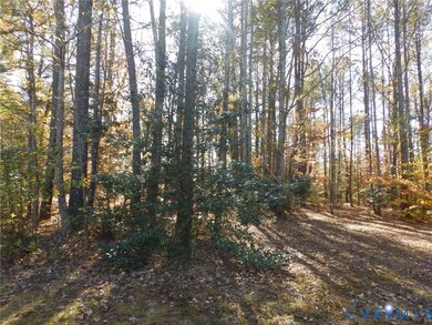 0 Edgar Ln unit 2532108, Elberon, VA 23846 - photo 2