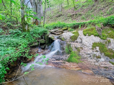 0 Fire Scald Rd unit CAR4252435, Green Mountain, NC 28740 - photo 5