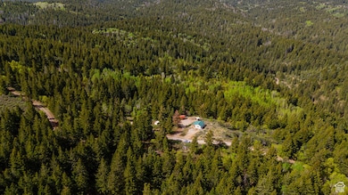 53 Squaw Creek Rd, Bancroft, ID 83217 - photo 3