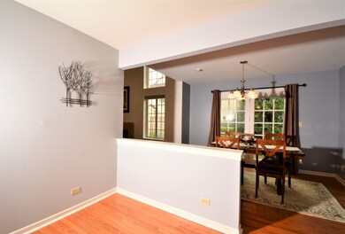 1872 Tamahawk Ln unit 1872, Naperville, IL 60564 - photo 3