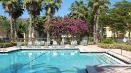 4197 N Haverhill Rd unit 204, West Palm Beach, FL 33417 - photo 2